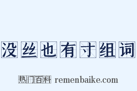 没丝也有寸组词是什么意思的图片